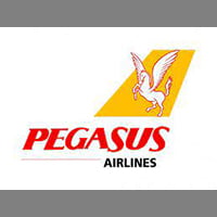pegasus